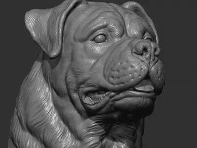 Rottweiler bust dog 3D print model