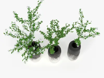 Branch three vases with plants 3D model