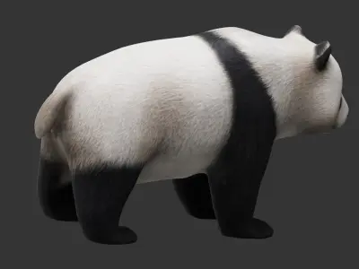 panda Low-poly 3D model