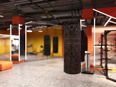 Luxury gym interior 3D model 3D model