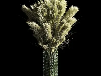 Dry Plants pampas Bouquet Indoor glass vase 3D model