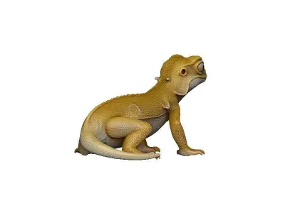 Gecko Low-poly 3D model