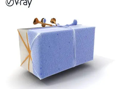 Elegant Gift Box Model Pack with Detailed Decoration Low-poly 3D model