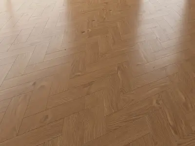 Parquet Oak Nut WWL set 5 3D model