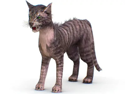 LowPoly Monster Cat Low-poly 3D model