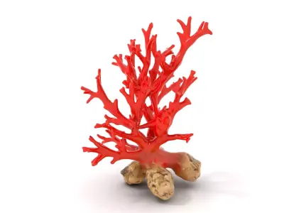 Red Coral Reef model pack Low-poly 3D model