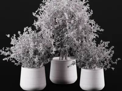 Plant Collection 03 3D model