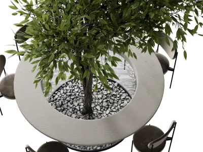 Plant in Dining Table Set 02  Low-poly 3D model