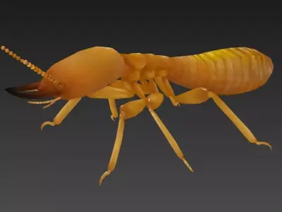 termite insect Low-poly 3D model