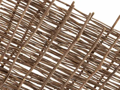 Ceiling wicker branch crooked 3D model