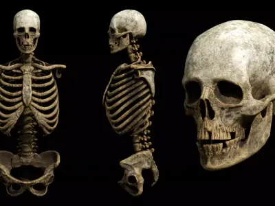 Next Gen Skeleton Real Time Game Ready Animated Low-poly 3D model