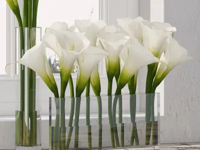 Calla Lily 3D model
