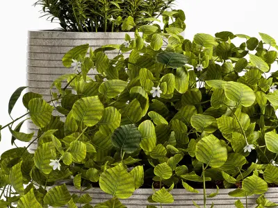 Decorative plant set-51 3D model