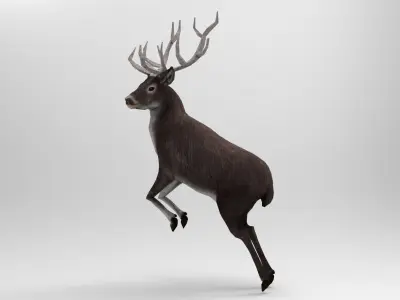 3D deer rigged animated black Low-poly 3D model
