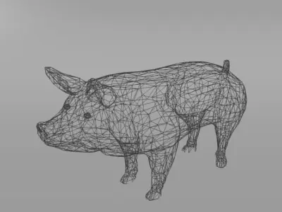 Standard Pig Low-poly 3D model