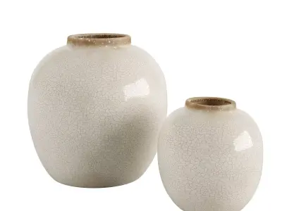 Crackle effect vase 3D model