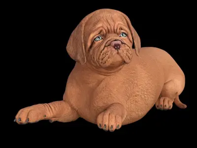 5 stand alone obj-12 3D model