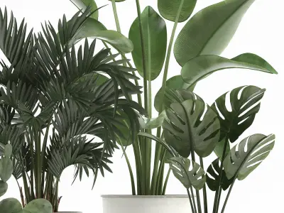 Collection of decorative plants in white flowerpots 927 3D model