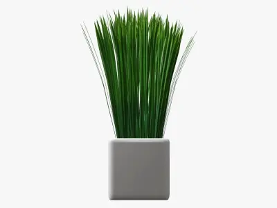 Long grass potted decorative   3D model
