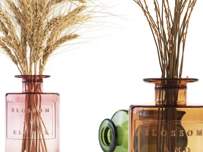 Blossom and Blooms Apothecary Jar with dried flower 3D model