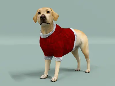 Labrador Retriever Dog Rigged Animated Low-poly 3D model