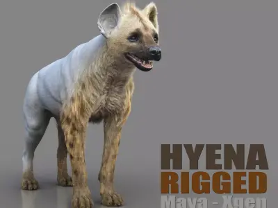 Hyena RIG Xgen core 3D model