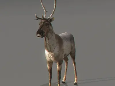 Rigged Reindeer 3D model