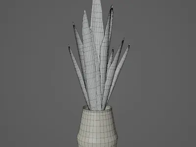 Interior Plant - Sansevieira Low-poly 3D model