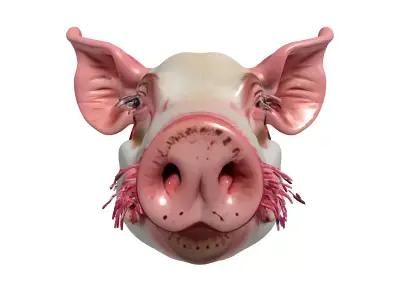 Realistic Pig Head Bust PBR Low-poly 3D model
