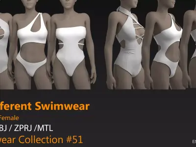 Swimwear Collection 51 CLO3D ZPRJ FBX OBJ MTL 3D model