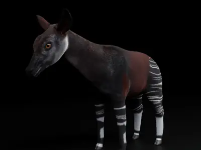 Okapi wild giraffe model Low-poly 3D model