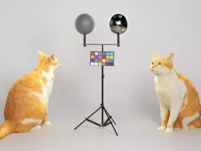 Red cat 07 Low-poly 3D model