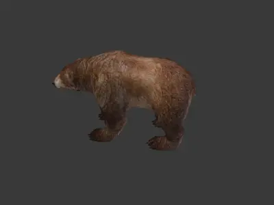 Next Gen AAA Brown Bear - game model Low-poly 3D model