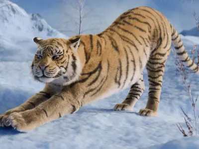 Tiger Rigged Animated 3D model