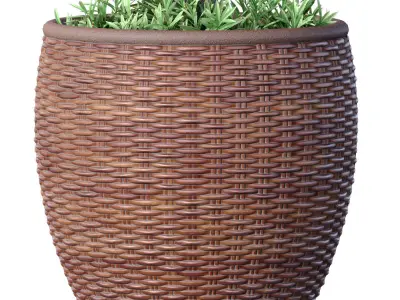 Decorative contemporary garden tree shrub in rattan vase 3D model