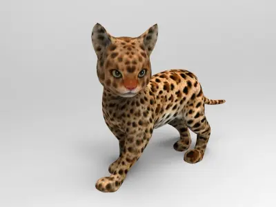 Wild Cat Rigged model Low-poly 3D model
