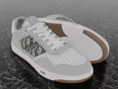 CHRISTIAN DIOR B28 UPTOWN LOW 3D SHOES GREY WHITE Low-poly 3D model