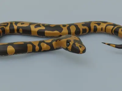 Python Snake - Rigged - Game Ready - PBR  Low-poly 3D model