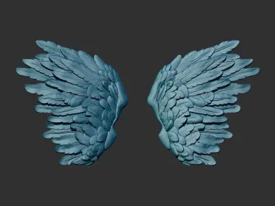 Wings 3D print model