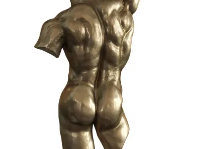 Nude Torso Wall Sculptures 3D model
