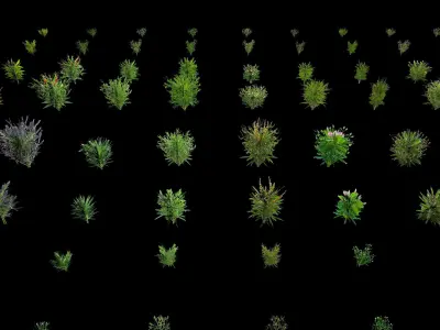 Valars Plant Pack 3D model