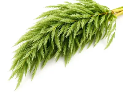 Lush Greenery model pack Low-poly 3D model