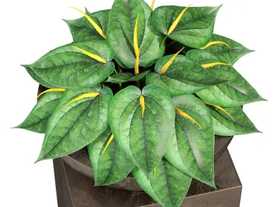 Plants collection 281 Fleurami ROYAL  3D model