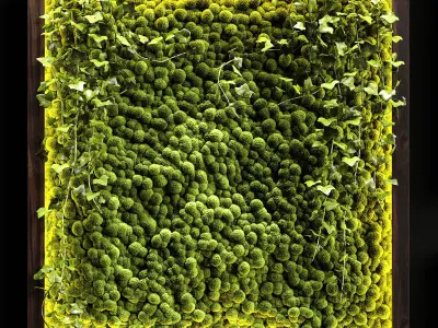 Vertical garden Moss modules 4 3D model