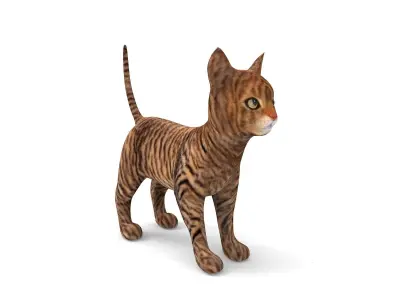 cute Cat model 3D pet Low-poly 3D model