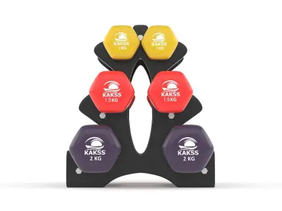 Fitness Dumbbell Set 3D model