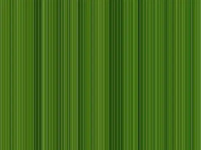 table dining and chairs 3D model