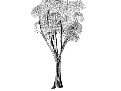 Cartoon tree S2Cv3 3D model