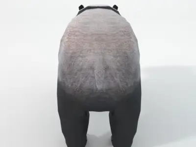 Panda bear Low-poly 3D model order