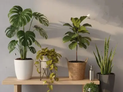 Modern Indoor Houseplant Collection - 3D Potted Plants Set 3D model